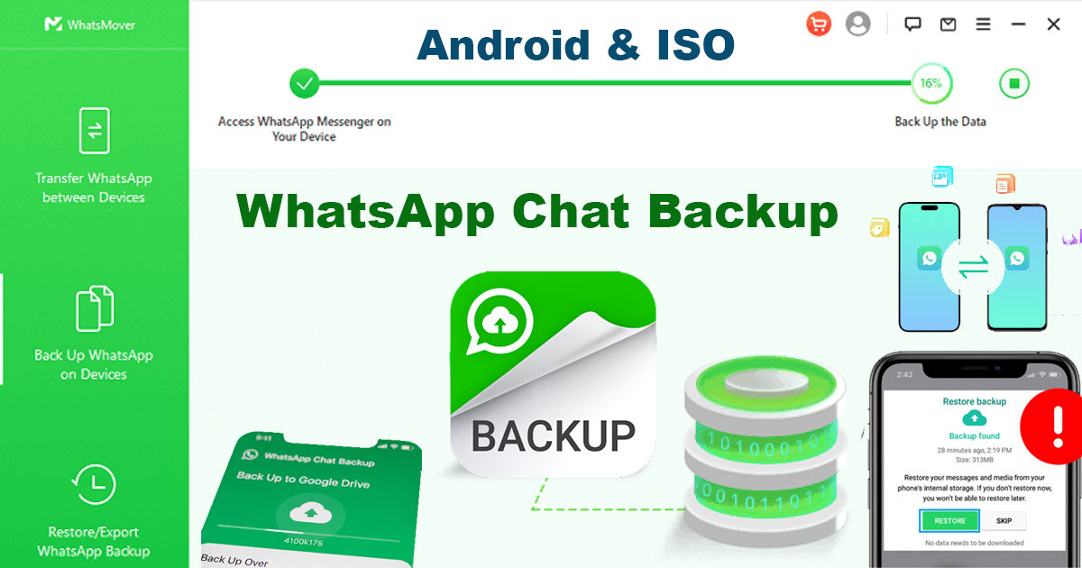 How to Backup and Check Your WhatsApp Chat History (Full Guide 2026)