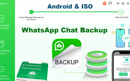 How to Backup and Check Your WhatsApp Chat History (Full Guide 2026)