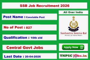 SSB jobs