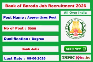 Bank of Baroda Jobs 2026